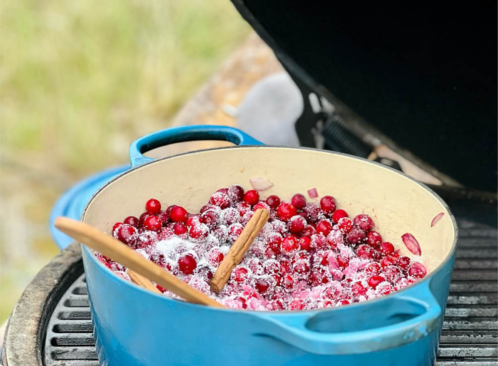 Foto blog cranberries 5