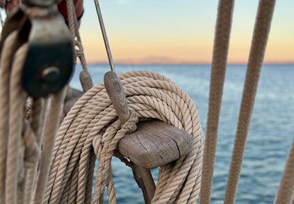 Afbeelding blog Bowl 4