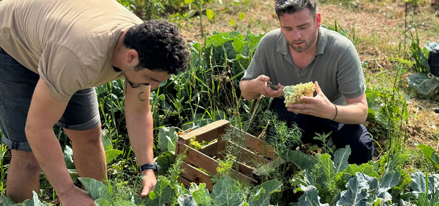 Afbeelding blog Traybake 2