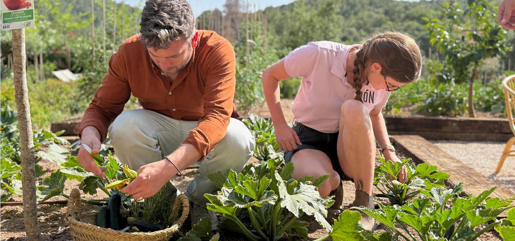 Afbeelding blog gratin traybake 2